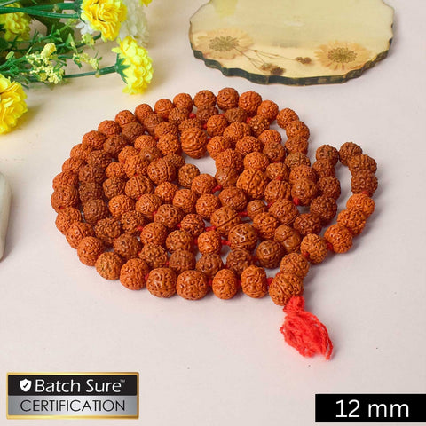5 Mukhi 108 Dana Rudraksha Mala – Authentic Spiritual 12mm Beads