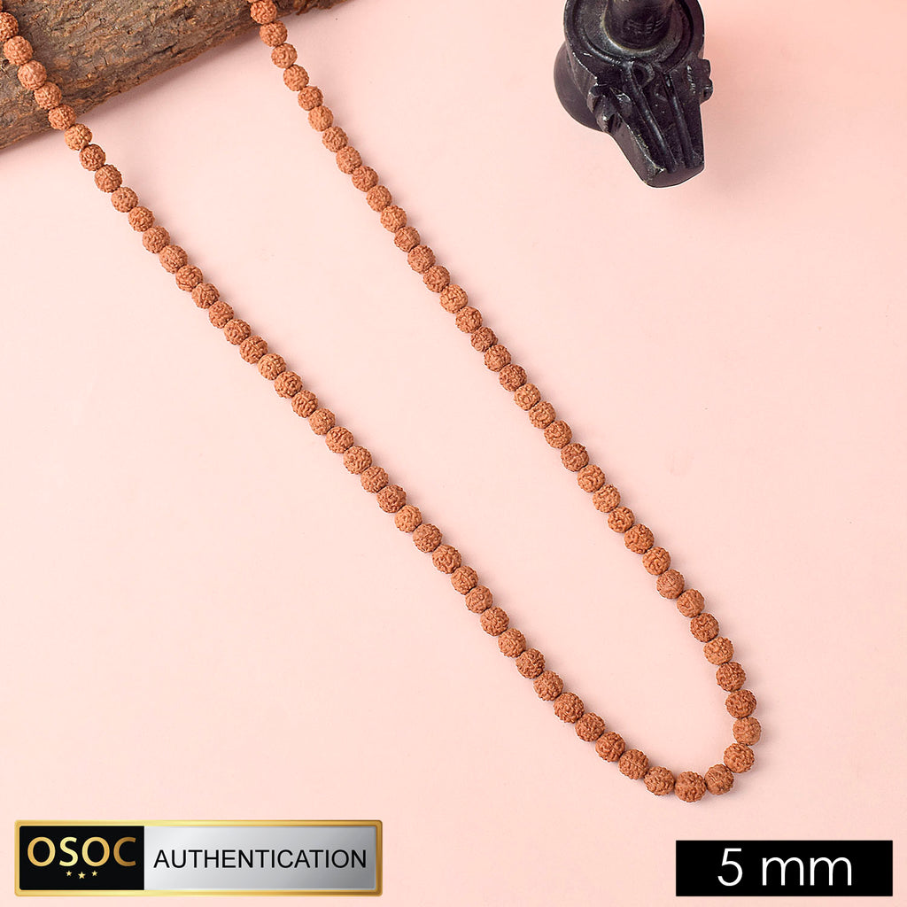 108 Beads Pathariya Rudraksh Mala for Japa and Spiritual Protection. India’s Premium Rudraksha Jap Mala Store- www.satvikstore.in