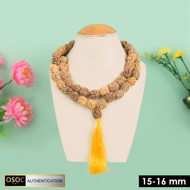 15-16mm 3 Mukhi Kantha Rudraksha Mala – Authentic Spiritual Beads for Health, Focus, and Positive Energy. India’s Largest Pooja Accessories Brand - www.satvikstore.in