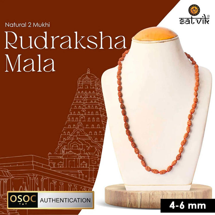 2 Mukhi Semi Pathriya Rudraksha Mala for harmony, relationships and spiritual growth. India’s Premium Rudraksha Jap Mala Store- www.satvikstore.in
