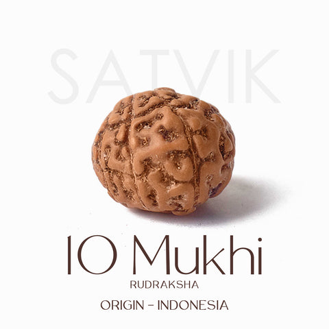Certified 10 Mukhi brown Rudraksha bead from Indo origin placed on red cloth for spiritual protection, healing, and divine blessings. India’s Largest Pooja Accessories Brand - www.satvikstore.in