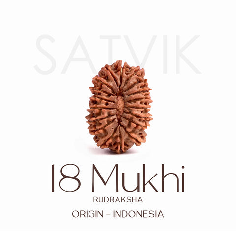 Certified 18 Mukhi Rudraksha Bead – Indonesia origin divine bead representing Goddess Bhumi Devi, known for enhancing stability, prosperity, and protection from negative energies.India’s Largest Brass Idols Brand - www.satvikstore.in
