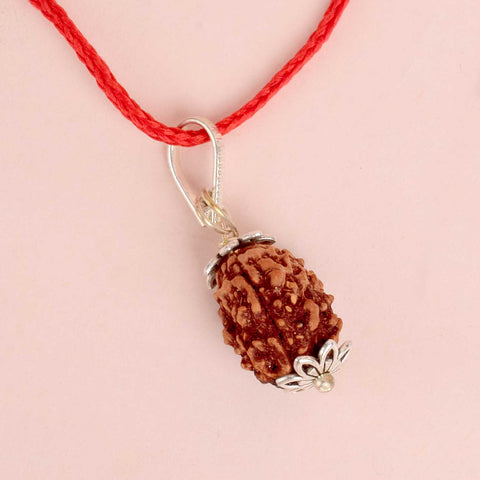 Certified 3 Mukhi Rudraksha Pendant