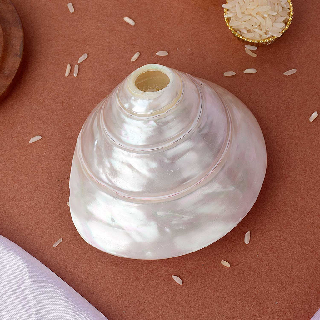 Natural Moti Shankh Pearl Conch Shell for Pooja and Vastu Correction. India’s Largest Pooja Accessories Brand - www.satvikstore.in