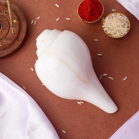Natural 100% Original Vamavarti Shankha 8 Inch Blowing Conch for Pooja. India’s Largest Pooja Accessories Brand - www.satvikstore.in