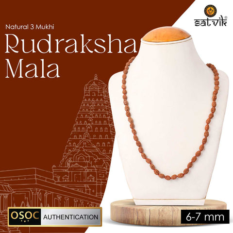 3 mukhi Original rudraksha mala