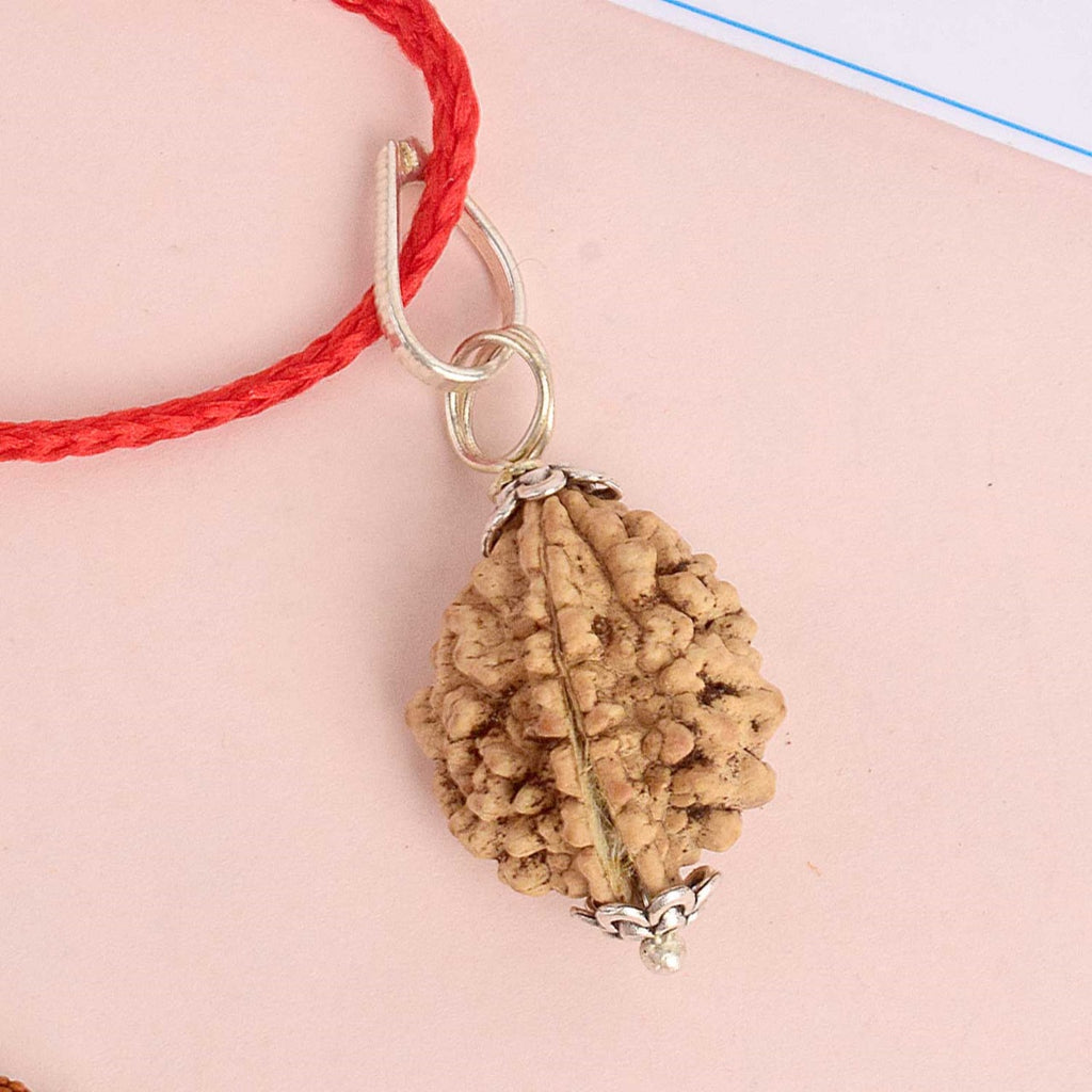 Certified 2 Mukhi Rudraksha Pendant with metal capping for spiritual balance and unity. India’s Premium Rudraksha Jap Mala Store- www.satvikstore.in